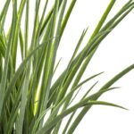 Τεχνητά Φυτά & Κασπώ Fake Grass W Braided Pot H46 168588