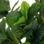 Τεχνητά Φυτά & Κασπώ Fiddleleaf Tree H180 193813