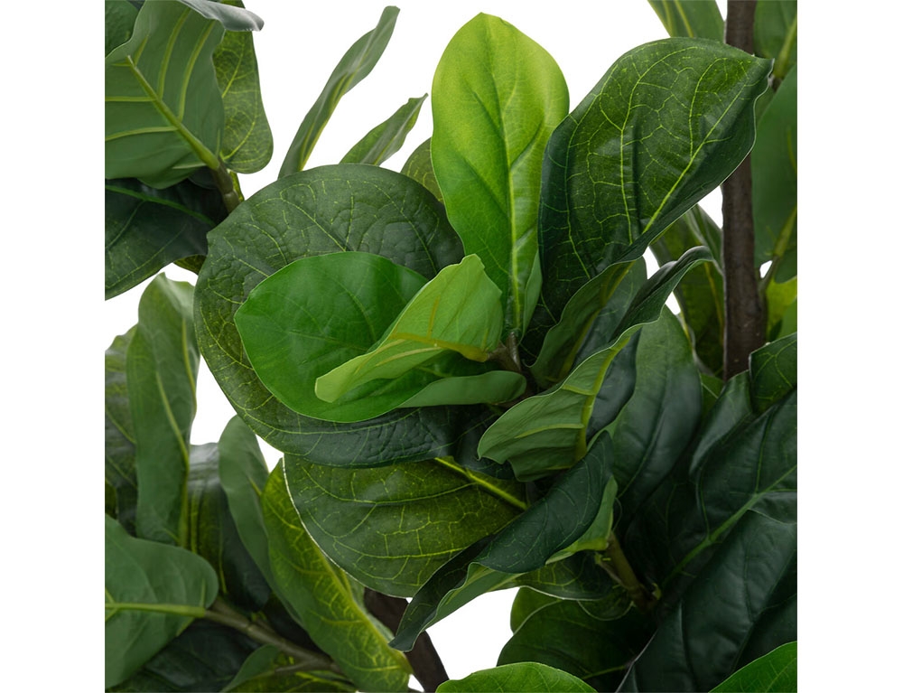 Τεχνητά Φυτά & Κασπώ Fiddleleaf Tree H180 193813