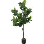 Τεχνητά Φυτά & Κασπώ Fiddleleaf Tree H180 193813