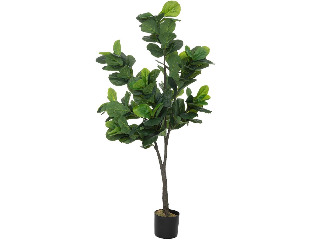 Τεχνητά Φυτά & Κασπώ Fiddleleaf Tree H180 193813
