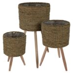 Τεχνητά Φυτά & Κασπώ Flowerpot Naturel Set Of 3Pcs 430000510