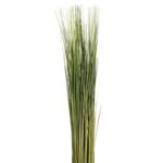 Τεχνητά Φυτά & Κασπώ Grass Bundle 103095