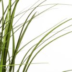 Τεχνητά Φυτά & Κασπώ Grasses Atmosphera 58Cm High Plastic Pot 173021