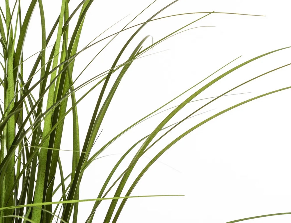 Τεχνητά Φυτά & Κασπώ Grasses Atmosphera 58Cm High Plastic Pot 173021
