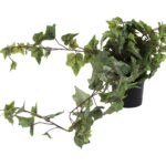 Τεχνητά Φυτά & Κασπώ Hang Plant In Pp Pot 80Cm 317221280