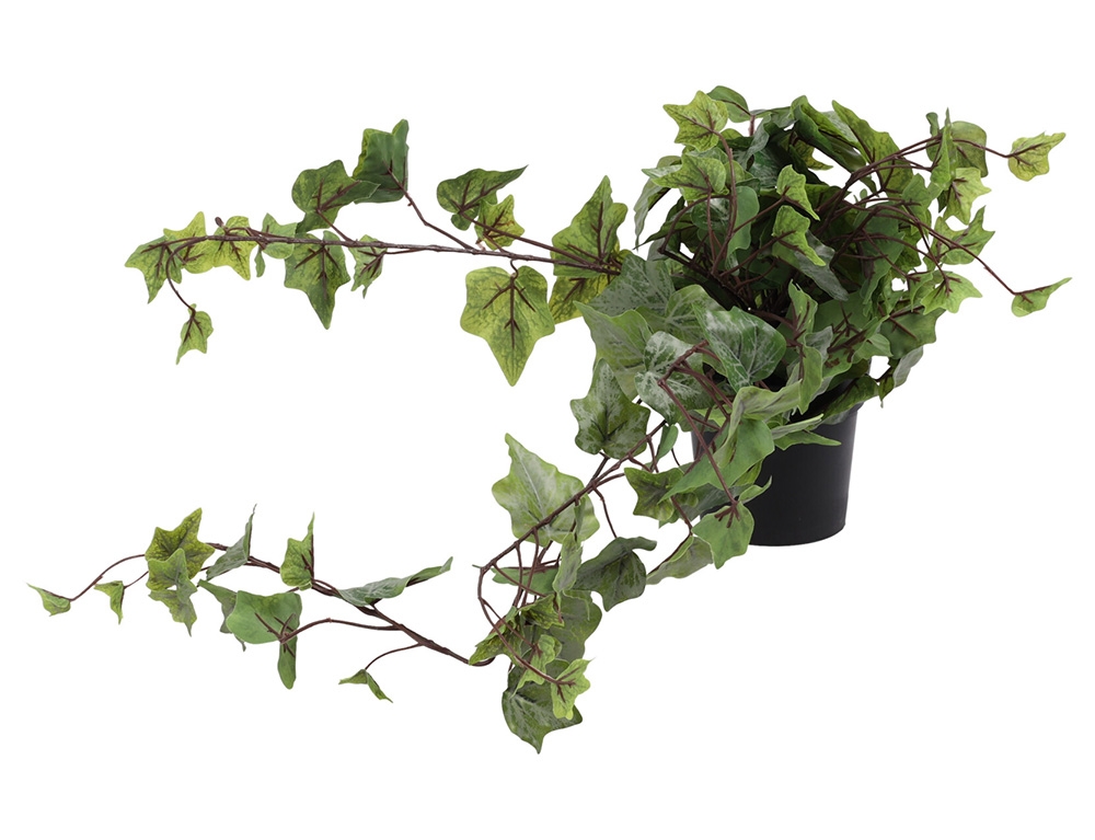Τεχνητά Φυτά & Κασπώ Hang Plant In Pp Pot 80Cm 317221280