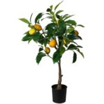 Τεχνητά Φυτά & Κασπώ Lemon Tree In Pot 70Cm Nb1720410