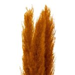 Τεχνητά Φυτά & Κασπώ Pampa Nat Ocher X3 H110 179282C