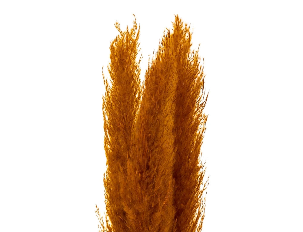 Τεχνητά Φυτά & Κασπώ Pampa Nat Ocher X3 H110 179282C