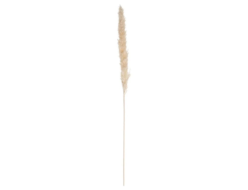 Τεχνητά Φυτά & Κασπώ Pampa Nat Stem X6 H60 179281