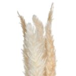 Τεχνητά Φυτά & Κασπώ Pampa Nat Stem X6 H60 179281