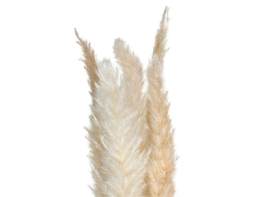 Τεχνητά Φυτά & Κασπώ Pampa Nat Stem X6 H60 179281