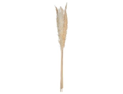 Τεχνητά Φυτά & Κασπώ Pampa Nat Stem X6 H60 179281