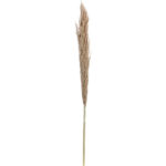 Τεχνητά Φυτά & Κασπώ Pampas 150Cm Decoration Yza000980