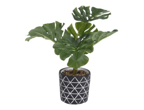 Τεχνητά Φυτά & Κασπώ Plant In Cement Pot 26Xh32Cm 837900140