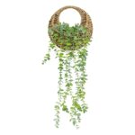 Τεχνητά Φυτά & Κασπώ Plante Susp Nat Euca Zea H70