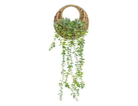 Τεχνητά Φυτά & Κασπώ Plante Susp Nat Euca Zea H70