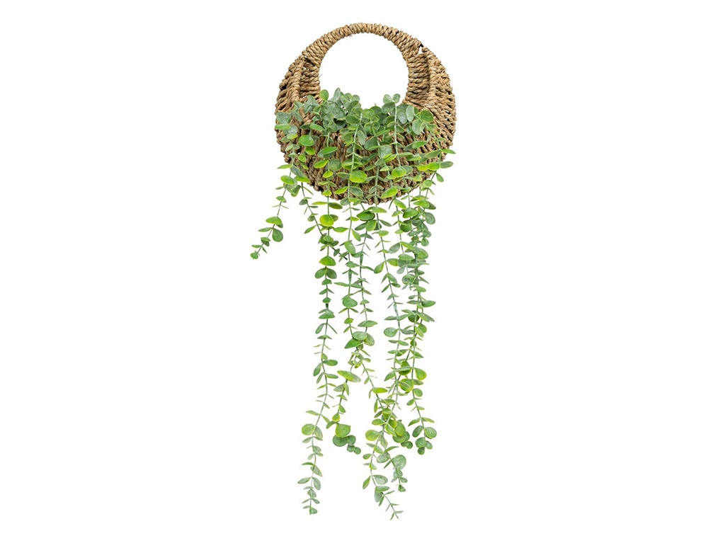 Τεχνητά Φυτά & Κασπώ Plante Susp Nat Euca Zea H70