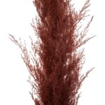 Τεχνητά Φυτά & Κασπώ Red Pampa X3 H110 189145