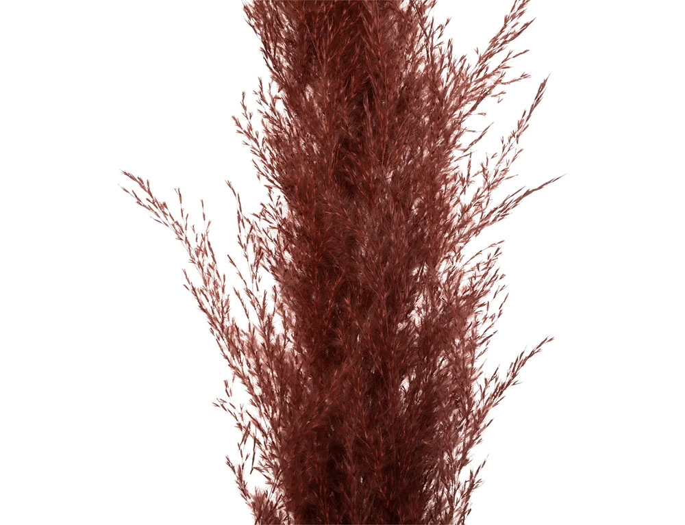 Τεχνητά Φυτά & Κασπώ Red Pampa X3 H110 189145
