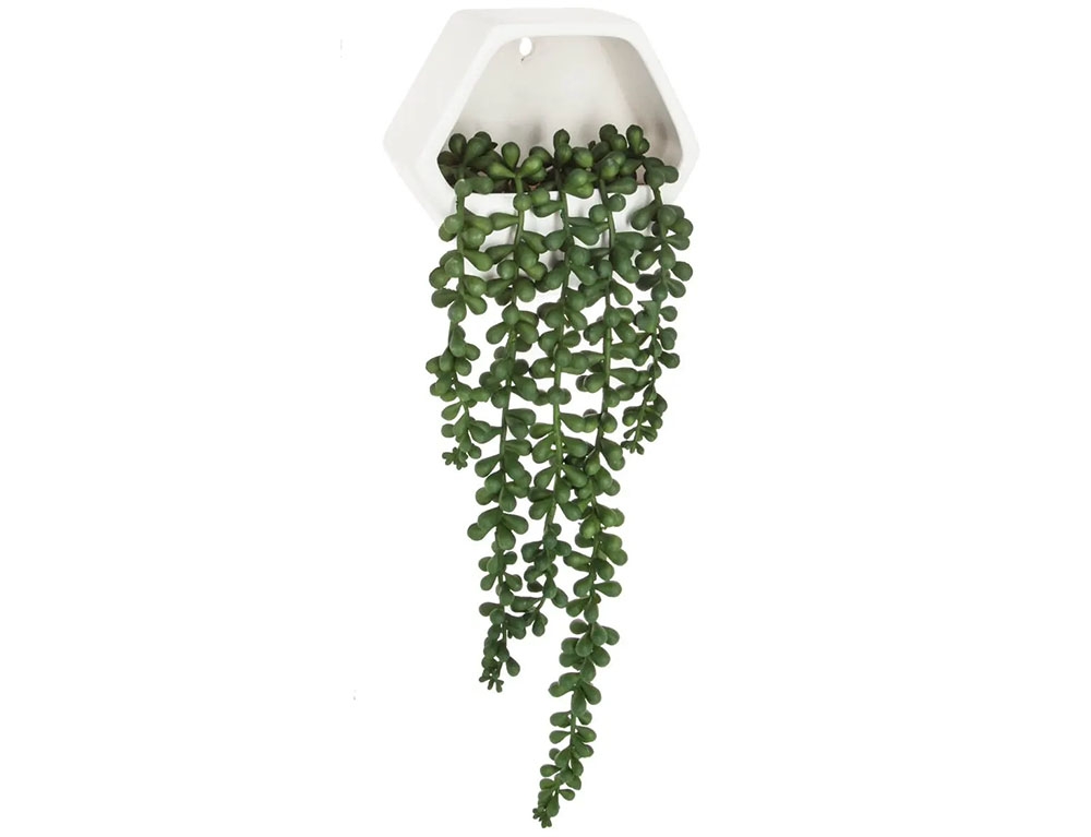Τεχνητά Φυτά & Κασπώ Wall Vine Plant Cem Contemp 155634