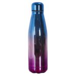 Θερμός Glass Transport Bottle Iso 50 Cl Electroplate M12
