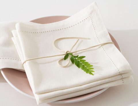 Τραπεζομάντηλα & Πετσέτες Δειπνου Napkin Chambray White X4 Atmosphera 146341Z