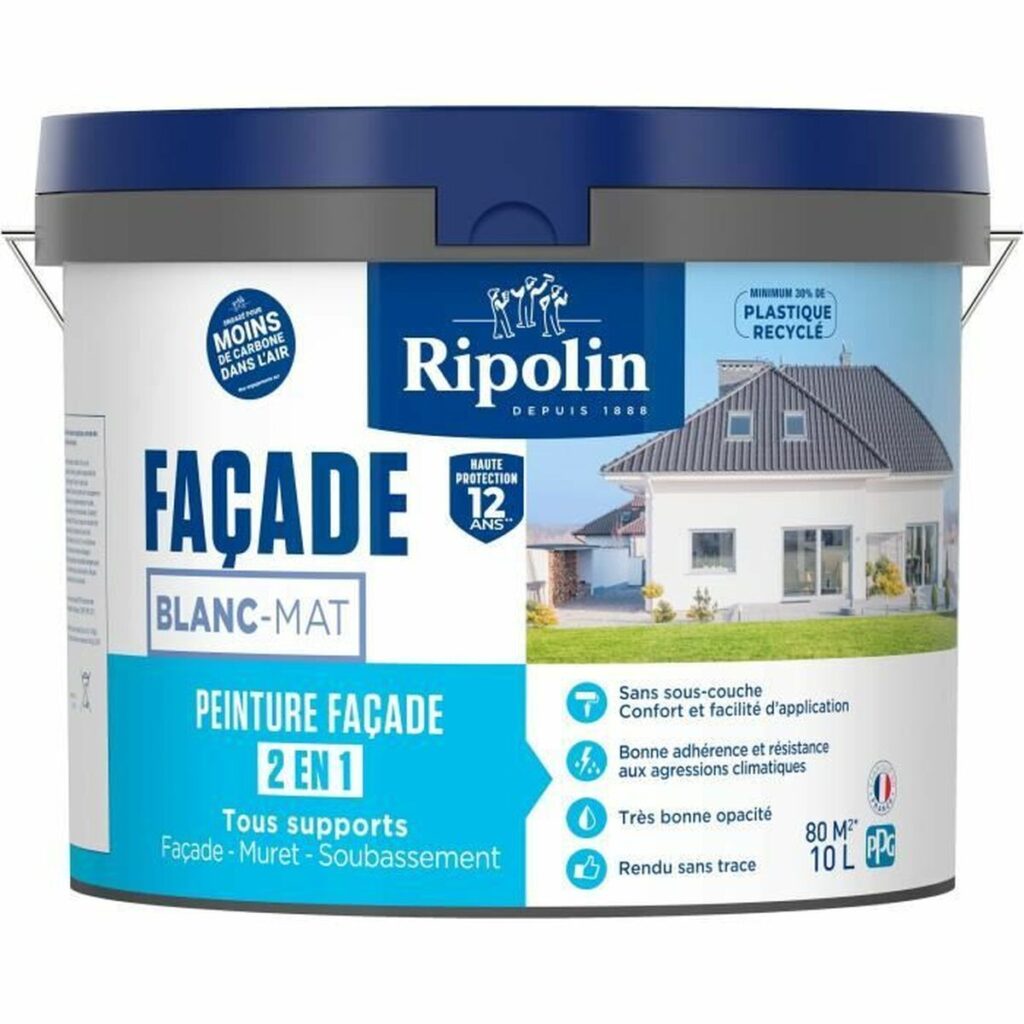 Ζωγραφική Ripolin 474646 10 L