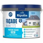 Ζωγραφική Ripolin 474646 10 L