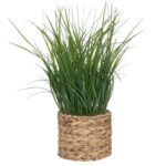 Τεχνητά Φυτά & Κασπώ Plant W/ Nat Pot H70 196736