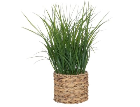 Τεχνητά Φυτά & Κασπώ Plant W/ Nat Pot H70 196736