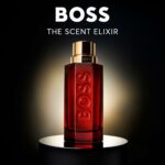 Ανδρικό Άρωμα Hugo Boss-boss THE SCENT 100 ml