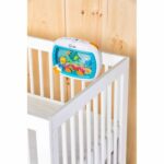 Παιχνίδι αιώρας για κούνια Baby Einstein Sea Dreams Soother
