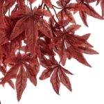 Τεχνητά Φυτά & Κασπώ Red Maple Tree James H150 Atmosphera 204278