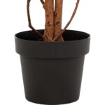 Τεχνητά Φυτά & Κασπώ Red Maple Tree James H150 Atmosphera 204278