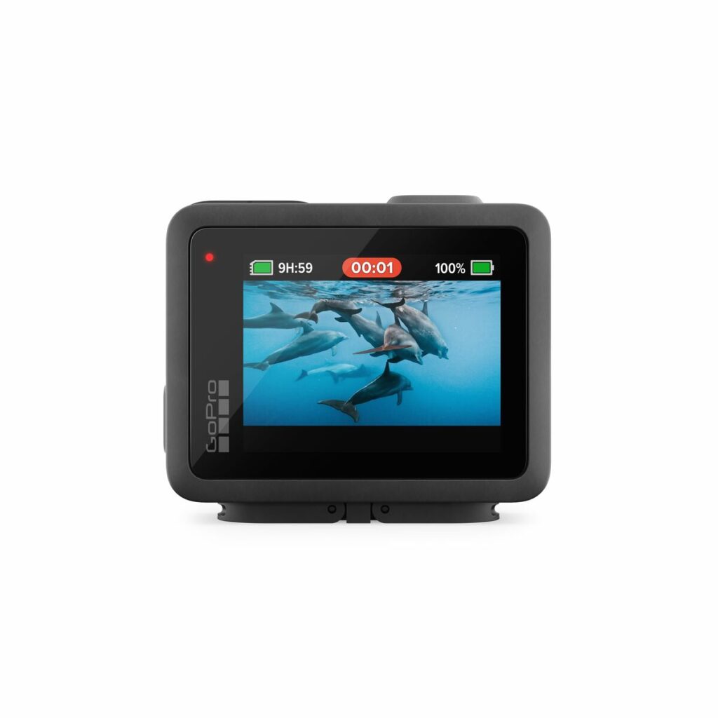 Αντάπτορας GoPro CHDHF-131-EU Μαύρο