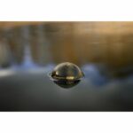Εντοπιστής ψαριών Deeper DP6H13S10