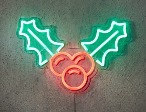 Φωτιστικό Neon Holly Luca Lighting Με Dimmer - Usb