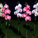Φωτιζόμενα διακοσμητικά λουλούδια LED με ηλιακό πάνελ - 2pcs - 150388 - White
