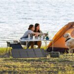 Ηλιακοί Φορτιστές Portable Solar Panel Ecoflow 60W Type-C Efsolar60-