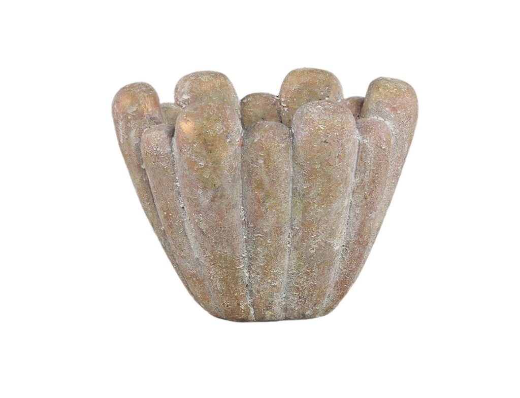 Κασπώ Ptmd Minter - 23.5X15X18Cm