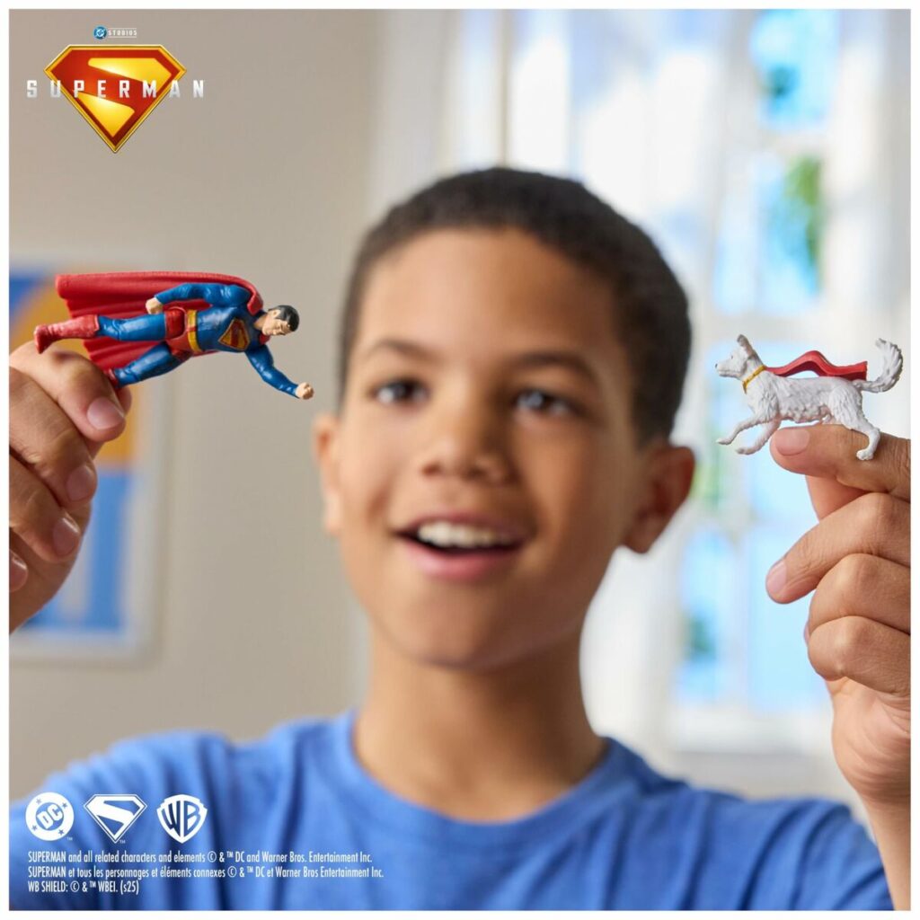 Playset Spin Master