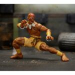 Αρθρωτό Σχήμα Street Fighter Dhalsim