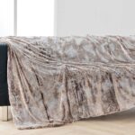 Κουβέρτα Antartic Douceur D'intérieur - 180X220Cm