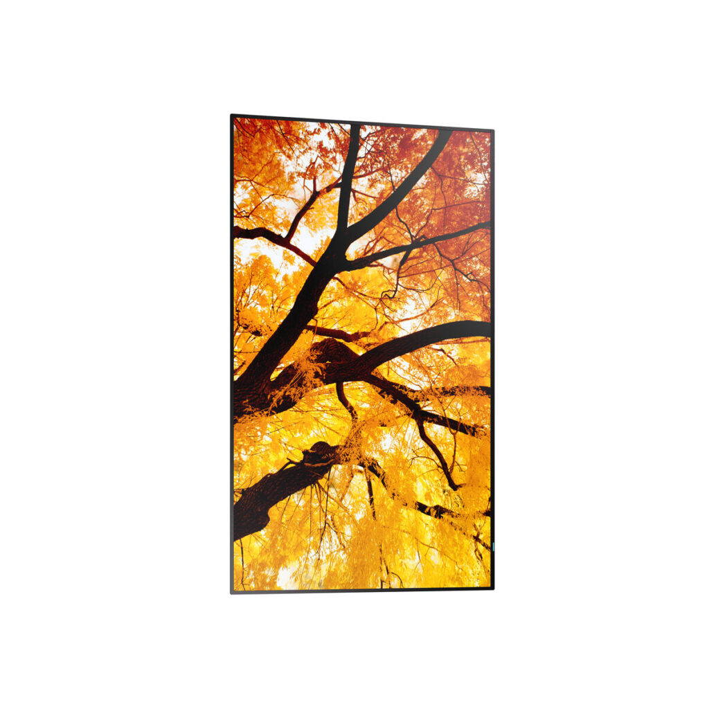 Οθόνη Videowall Sharp 60006052 Full HD 32"