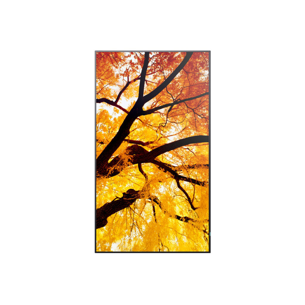 Οθόνη Videowall Sharp 60006052 Full HD 32"