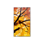 Οθόνη Videowall Sharp 60006052 Full HD 32"