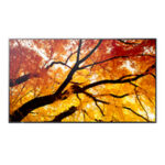 Οθόνη Videowall Sharp 60006052 Full HD 32"