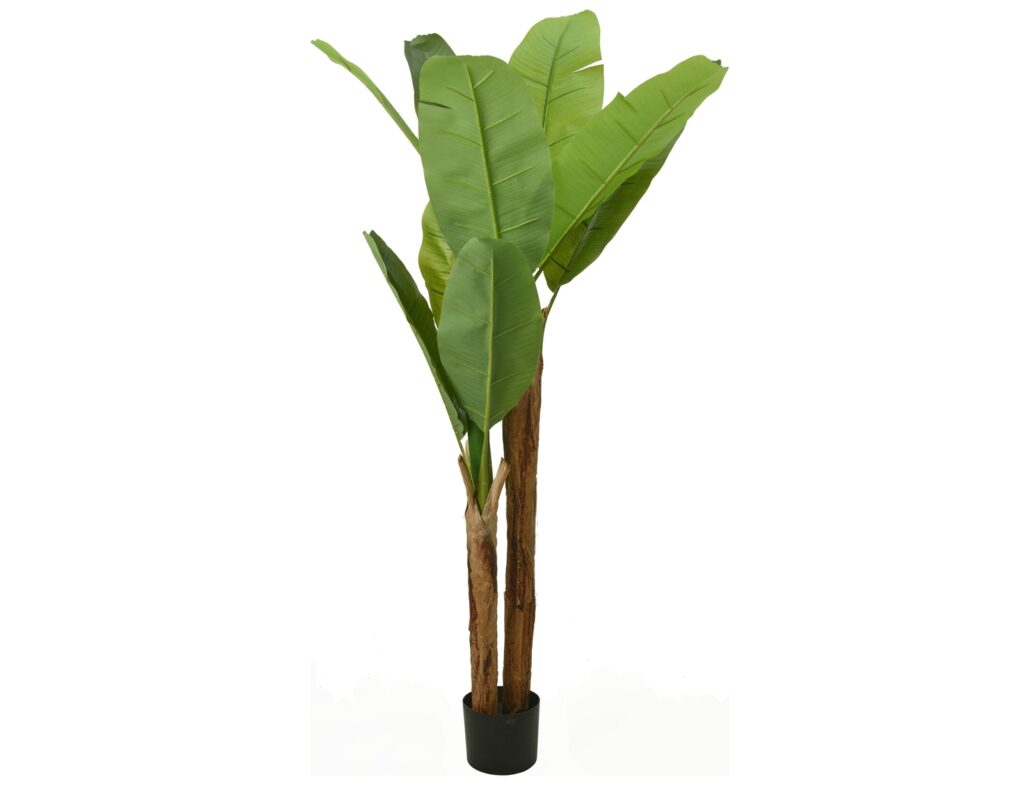 Τεχνητά Φυτά & Κασπώ Banana Tree 95X160Cm Pl6000130